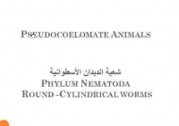 2022-03-22 03_39_48-شعبة الديدان الأسطوانية.pdf - Foxit PhantomPDF