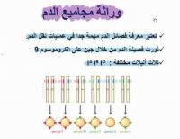 2022-03-23 00_58_36-8فصائل الدم.pdf - Foxit PhantomPDF