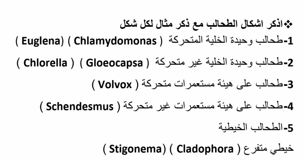 HomeWork | 6 3 | موقع حلولي