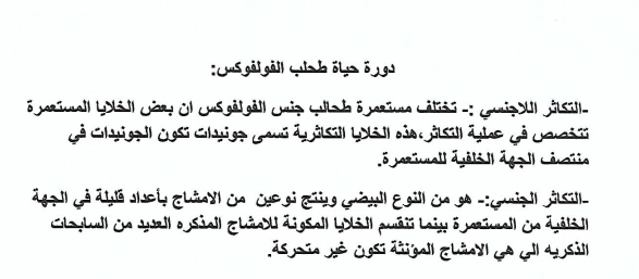 HomeWork | 7 3 | موقع حلولي