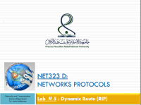 بروتوكولات الشبكة