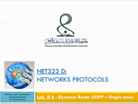 بروتوكولات الشبكة