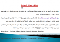 تصنيف المملكة الحيوانية