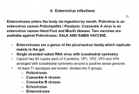 عدوى الفيروس المعوي