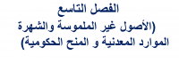 الأصول غير الملموسة و الشهرة و الموارد المعدنية و المنح الحكومية