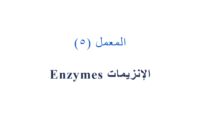 الإنزيمات