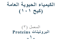 البروتينات