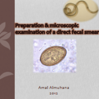 التحضير والفحص المجهري لمسحة برازية مباشرة