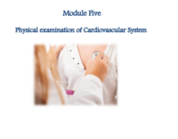 الفحص البدني لجهاز للقلب و جهاز الأوعية الدموية