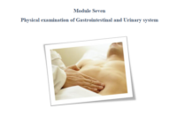 الفحص البدني للجهاز الهضمي والبولي