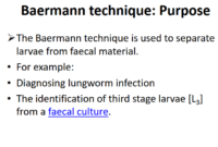 تقنية بارمان