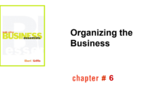 تنظيم العمل