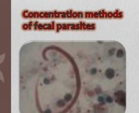 طرق تركيز الطفيليات البرازية