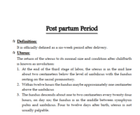 فترة ما بعد الولادة