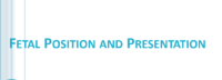 موقف الجنين وعرضه